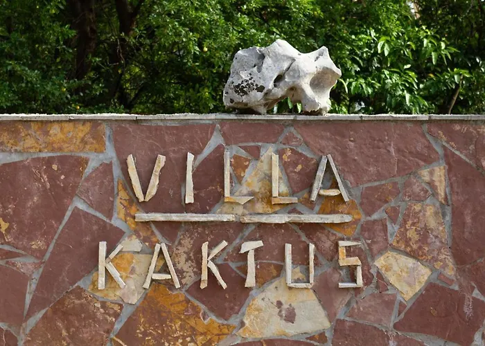 Апартаменты Kaktus *