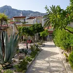 Kaktus Διαμέρισμα