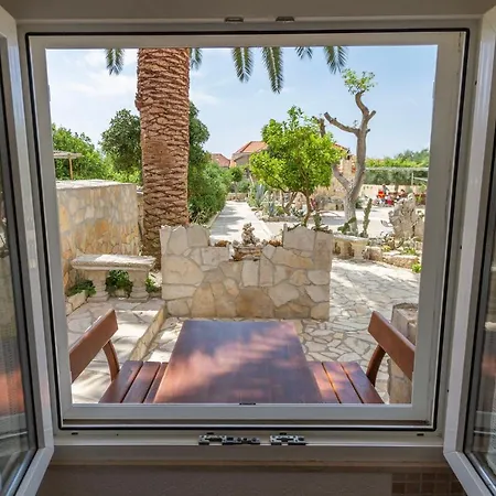 Kaktus * 오레비츠