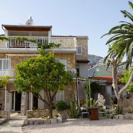 Kaktus * 오레비츠