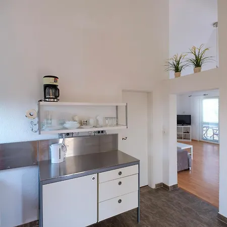 Kaktus * 오레비츠